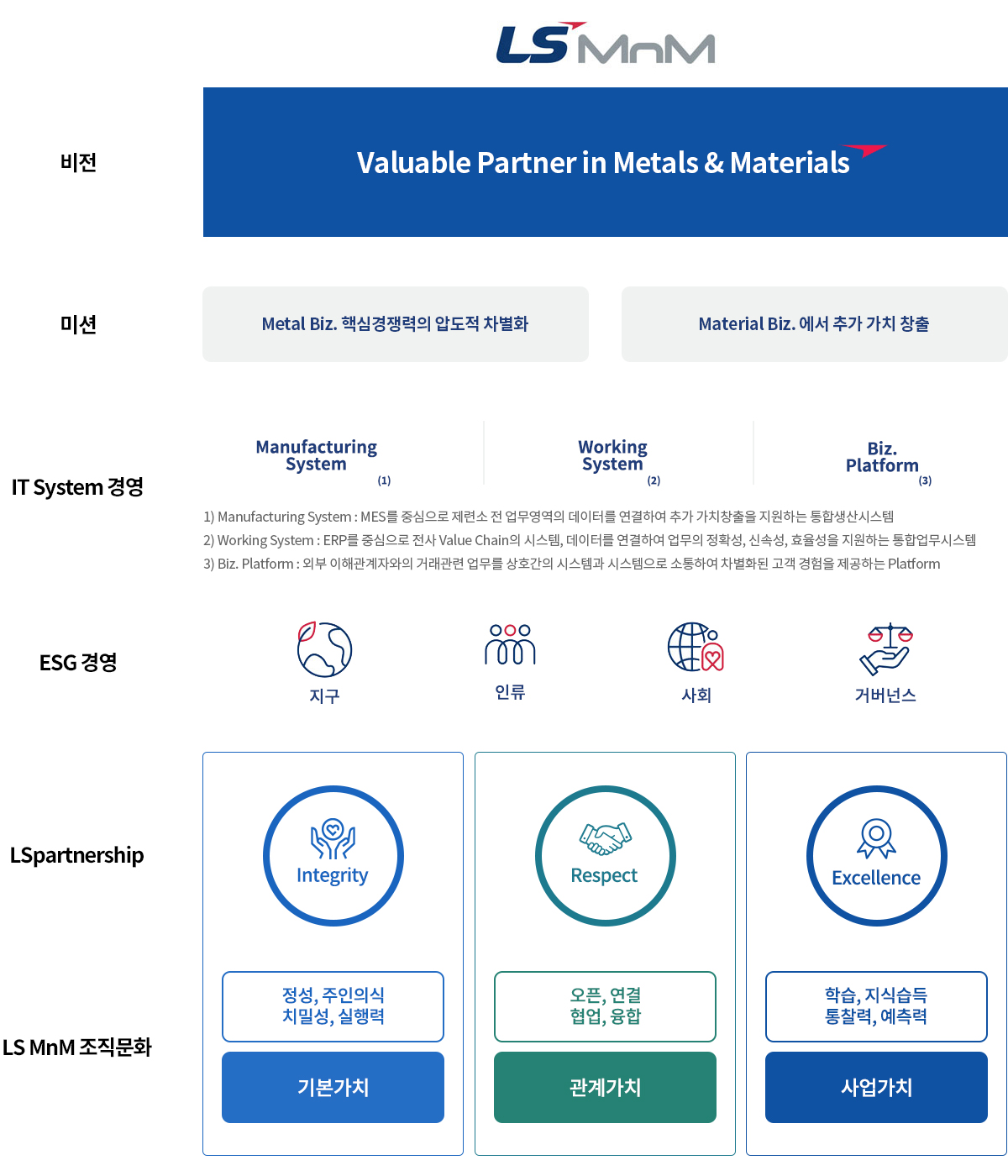 LS MnM 비전